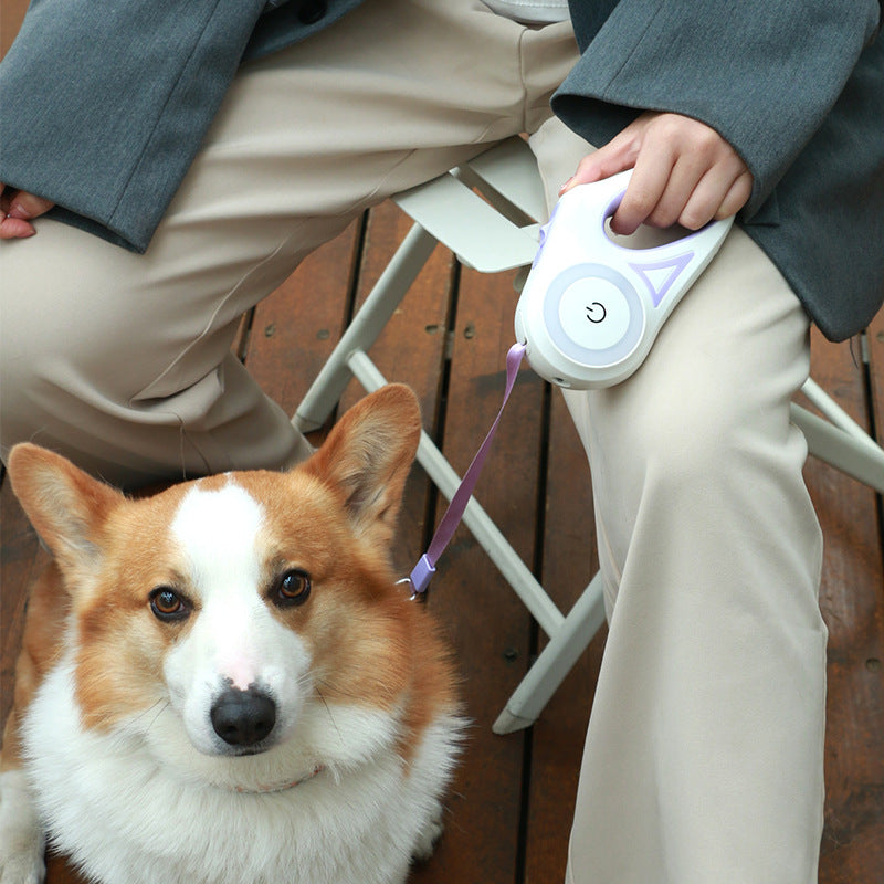 Dog Leash Retractable Leash and Dog Collar Spotlight Automatic Pet