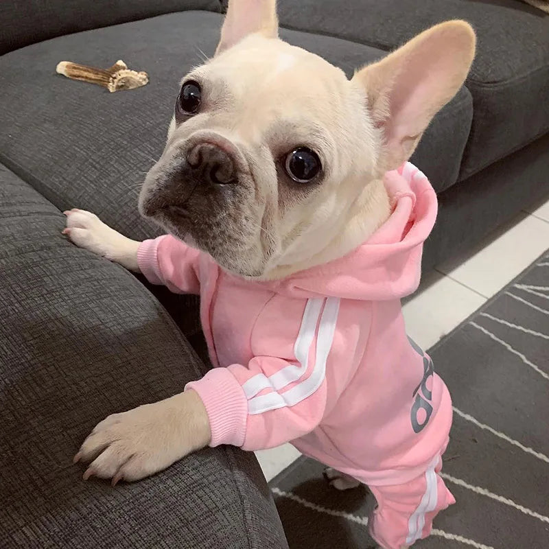 Dog Clothes Spring Hoodies Coat