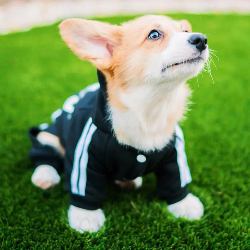 Pet Clothes French Bulldog Puppy Jumpsuit